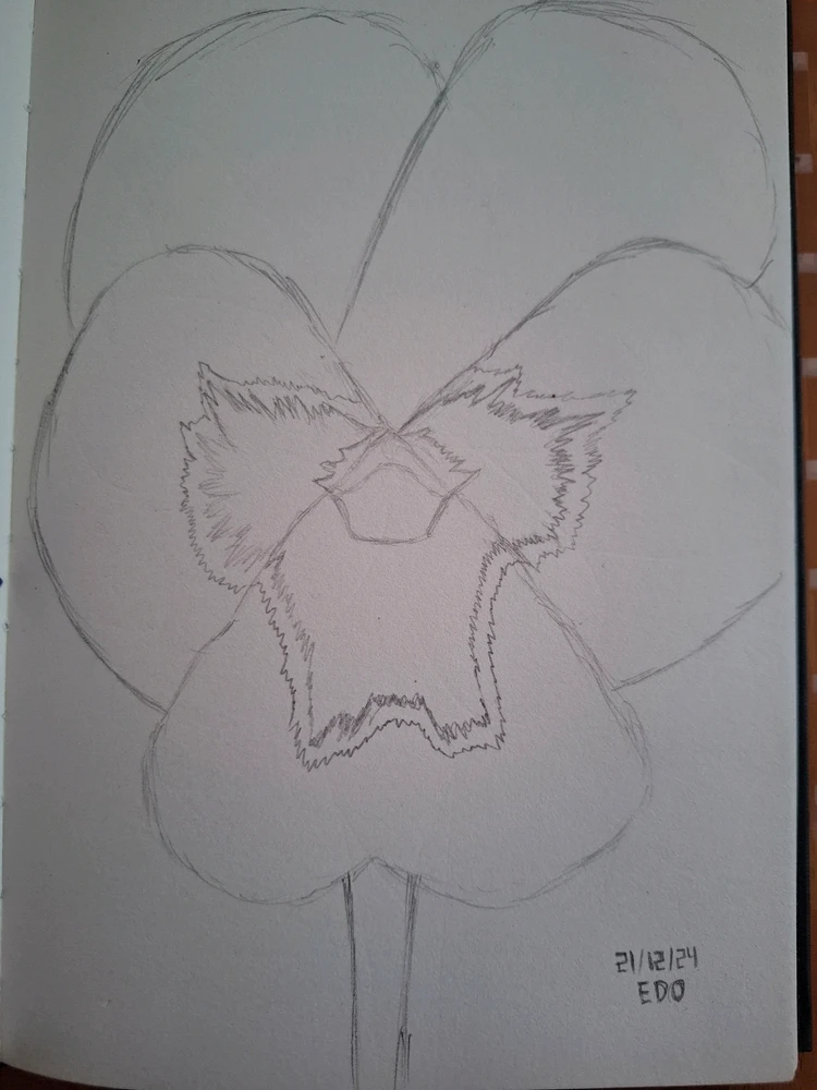 Image uploaded by Edo