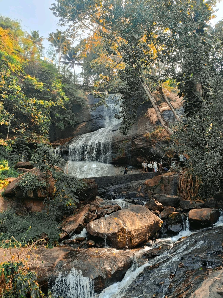 Muhammed sahad അപ്‌ലോഡ് ചെയ്ത GIF