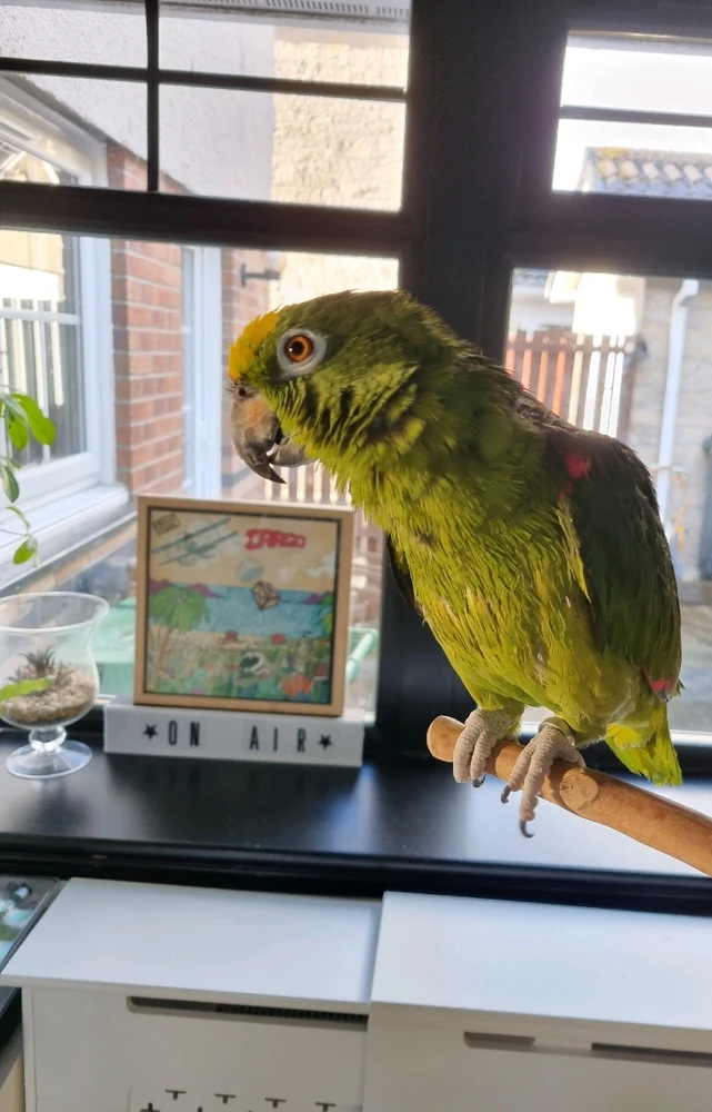 GIF uploaded by Antonio