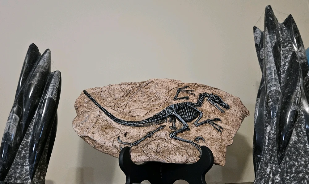 GIF uploaded by Susan LeeAnn Smith