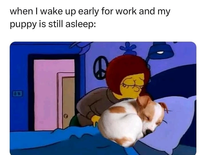 GIF uploaded by LunaStorta