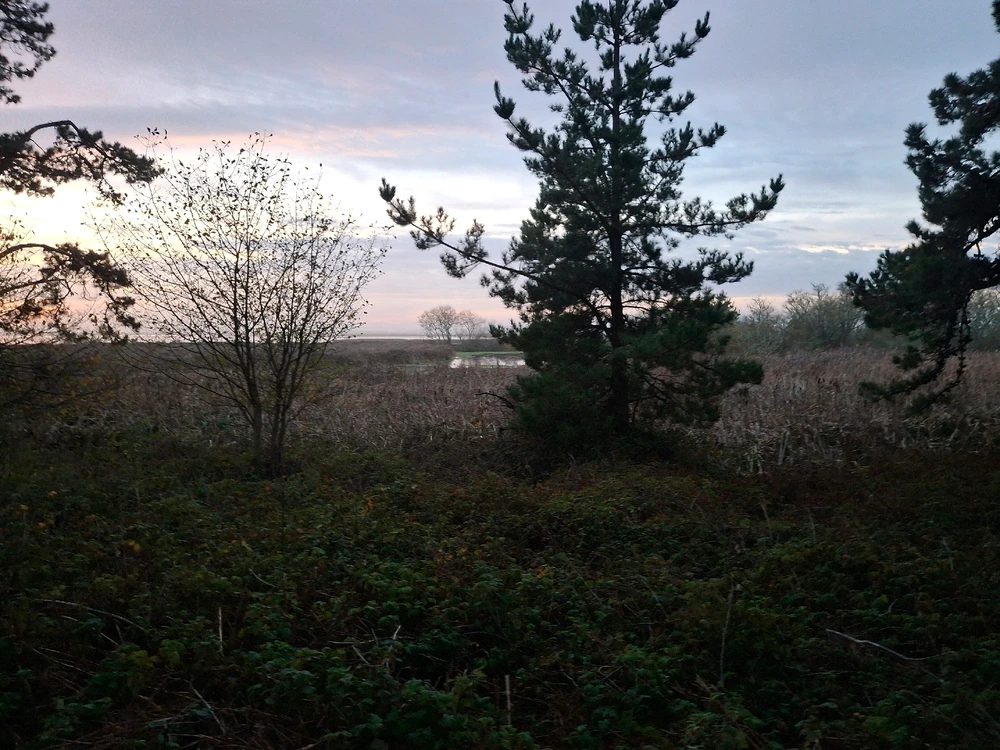Image uploaded by Benjiggity