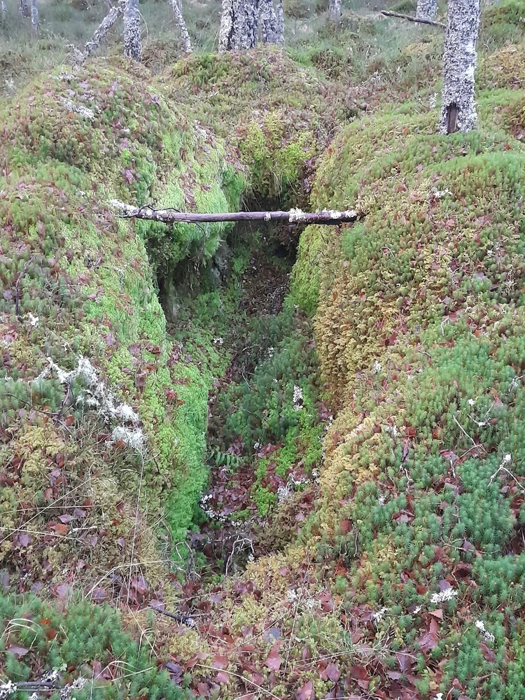 Gambar diunggah dening Ryan