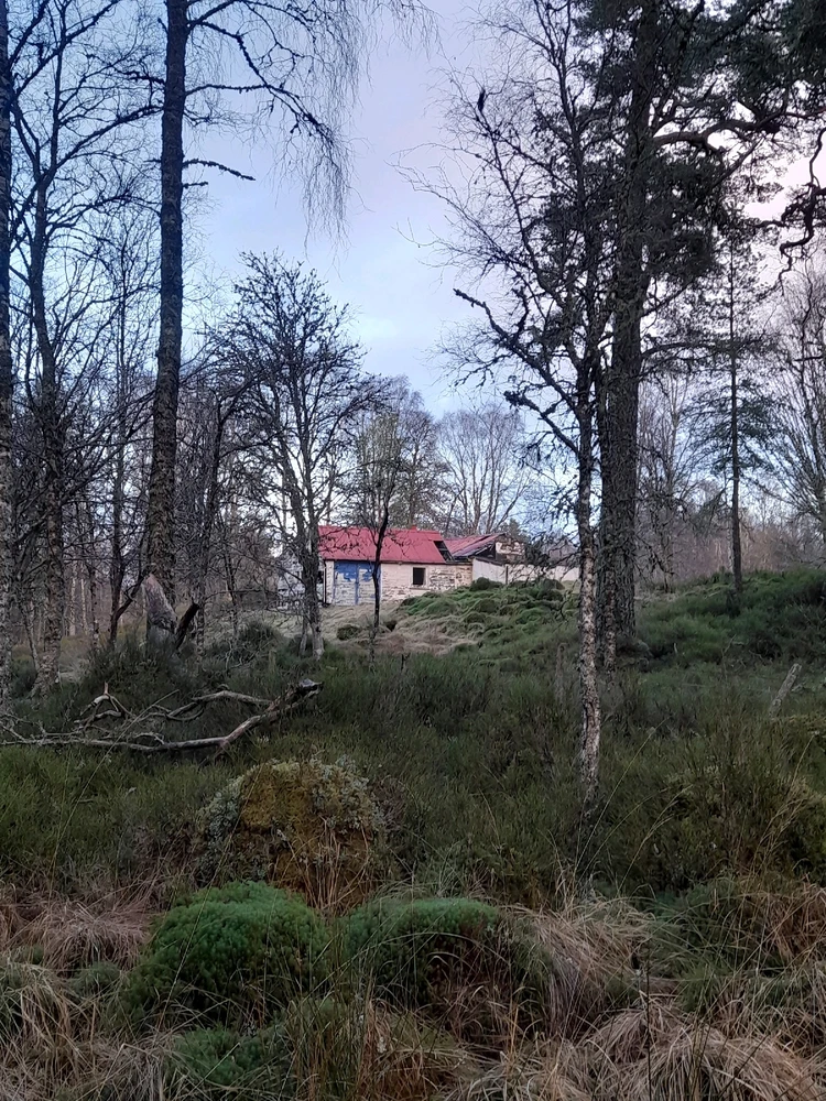 Gambar diunggah dening Ryan