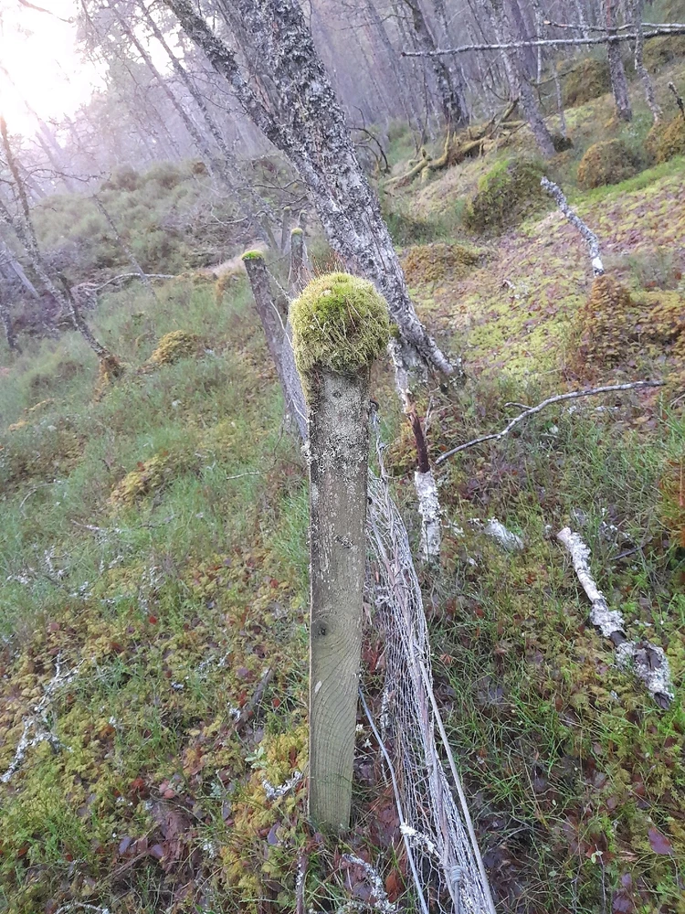 Gambar diunggah dening Ryan