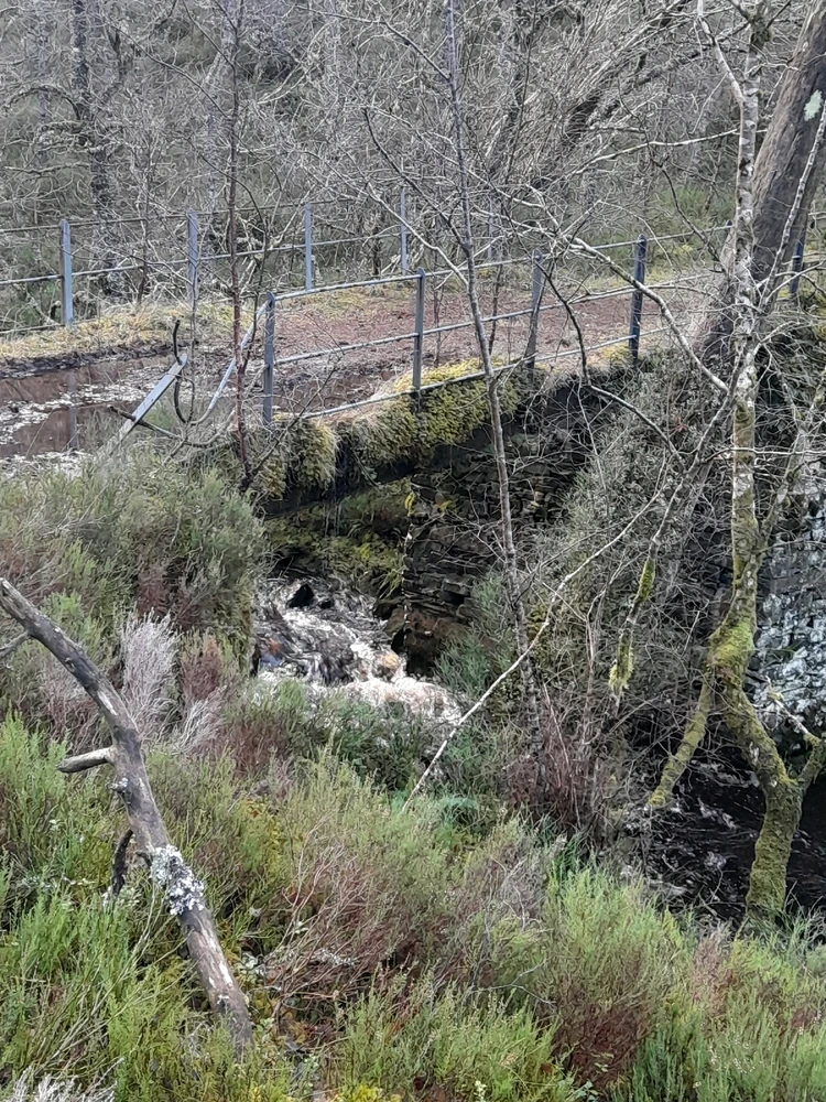 Gambar diunggah dening Ryan