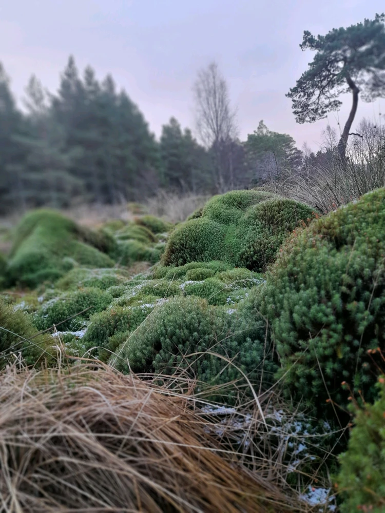 Gambar diunggah dening Ryan