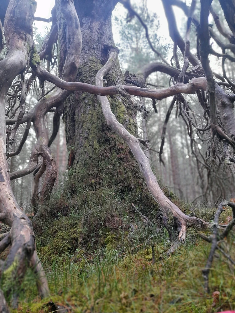 Gambar diunggah dening Ryan