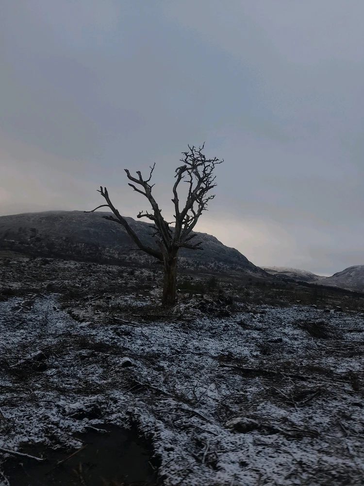 Gambar diunggah dening Ryan