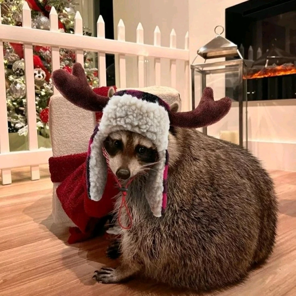 GIF uploaded by SuSu