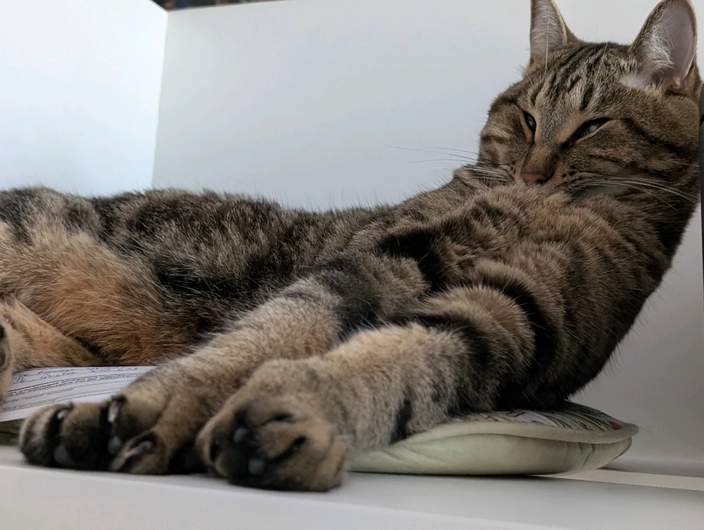 GIF ajouté par Gabriel Marcoux