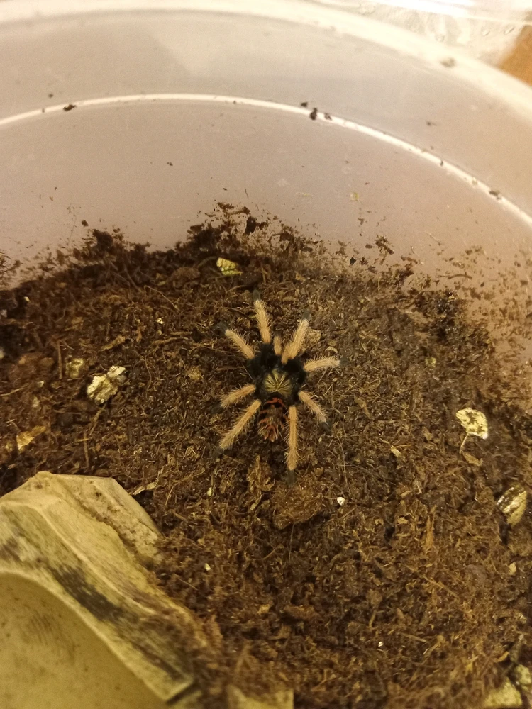 GIF uploaded by FluffyTheScary