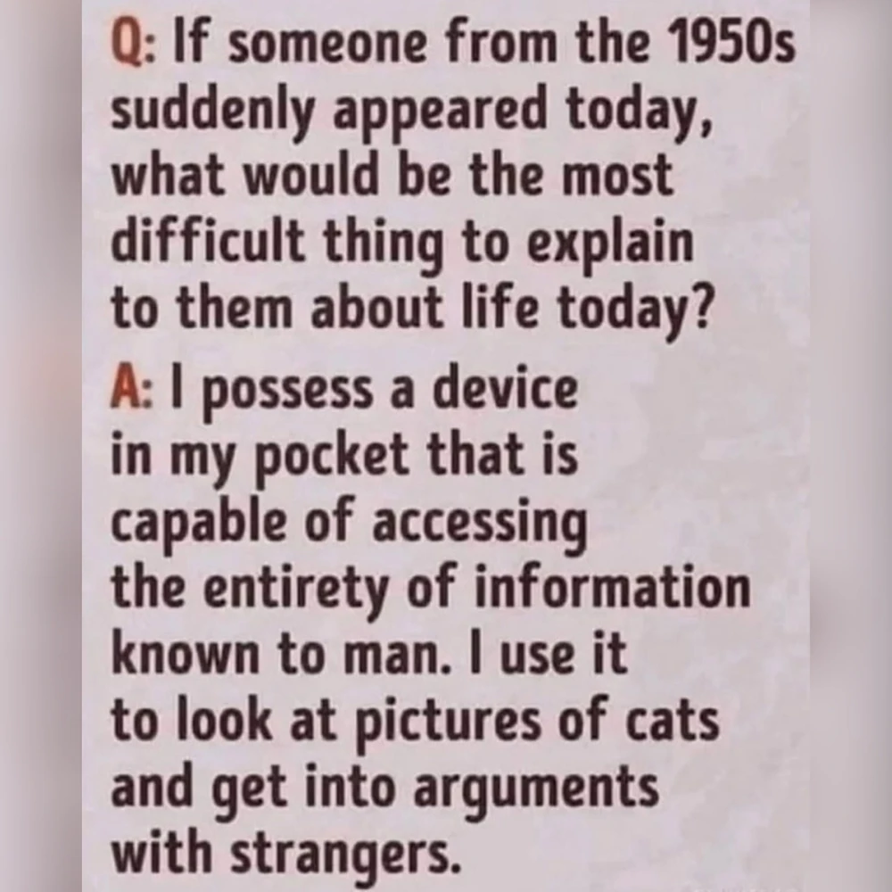 GIF tso los ntawm Klei🌻⚖️