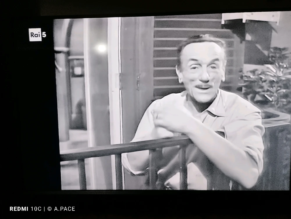 Immagine caricata da Alessandro | alpacigno