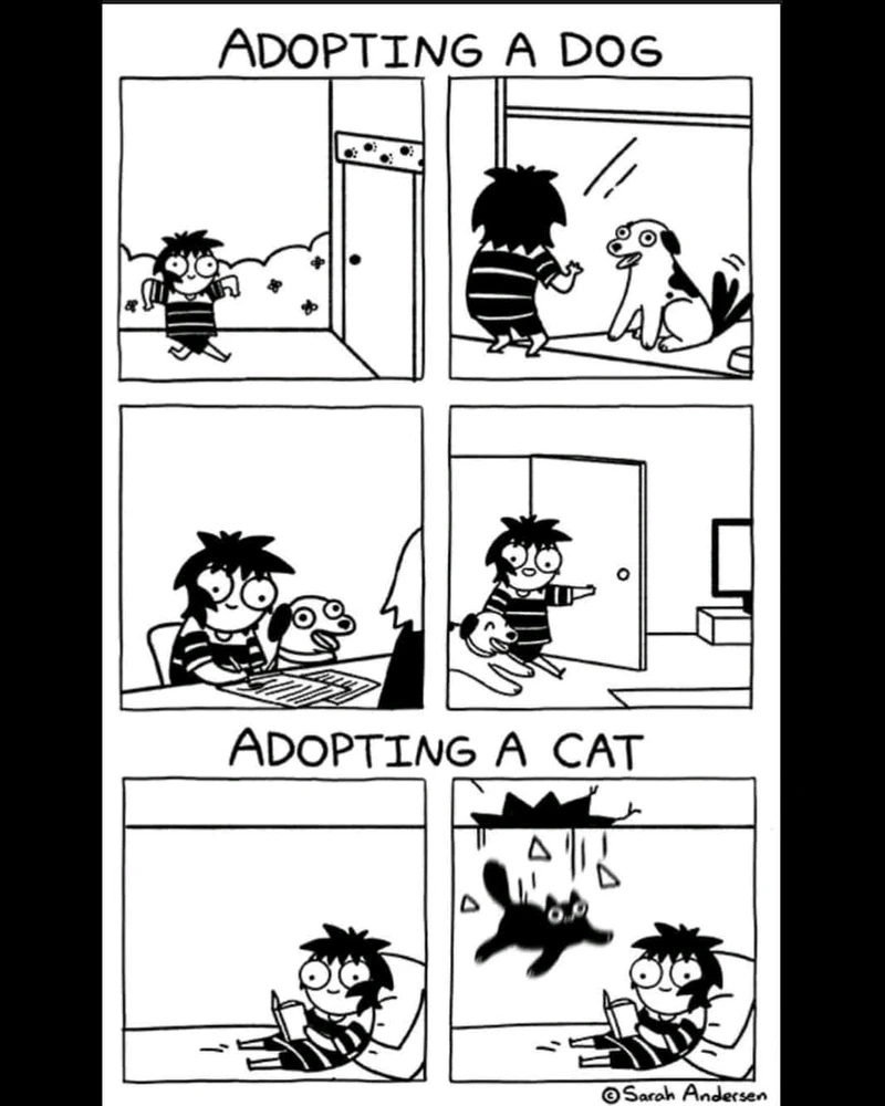 GIF hochgeladen von Julez