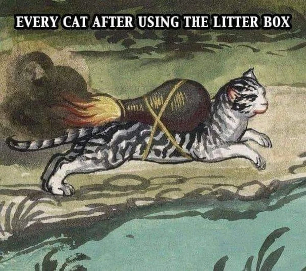 GIF hochgeladen von Julez