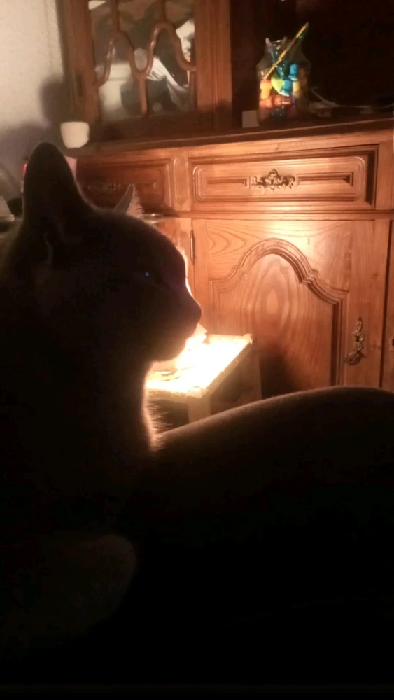 GIF enviado por Sónia Isabel