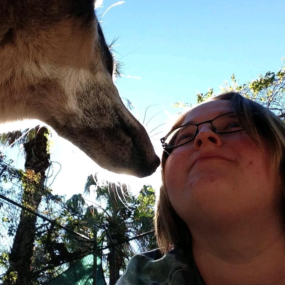 Image uploaded by Michelle