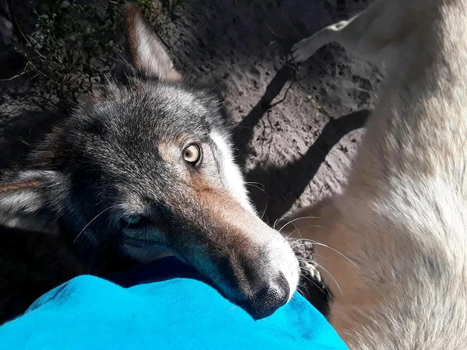 Image uploaded by Michelle