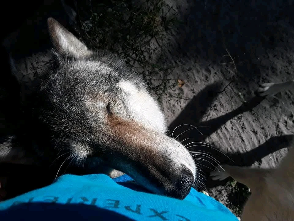 Image uploaded by Michelle