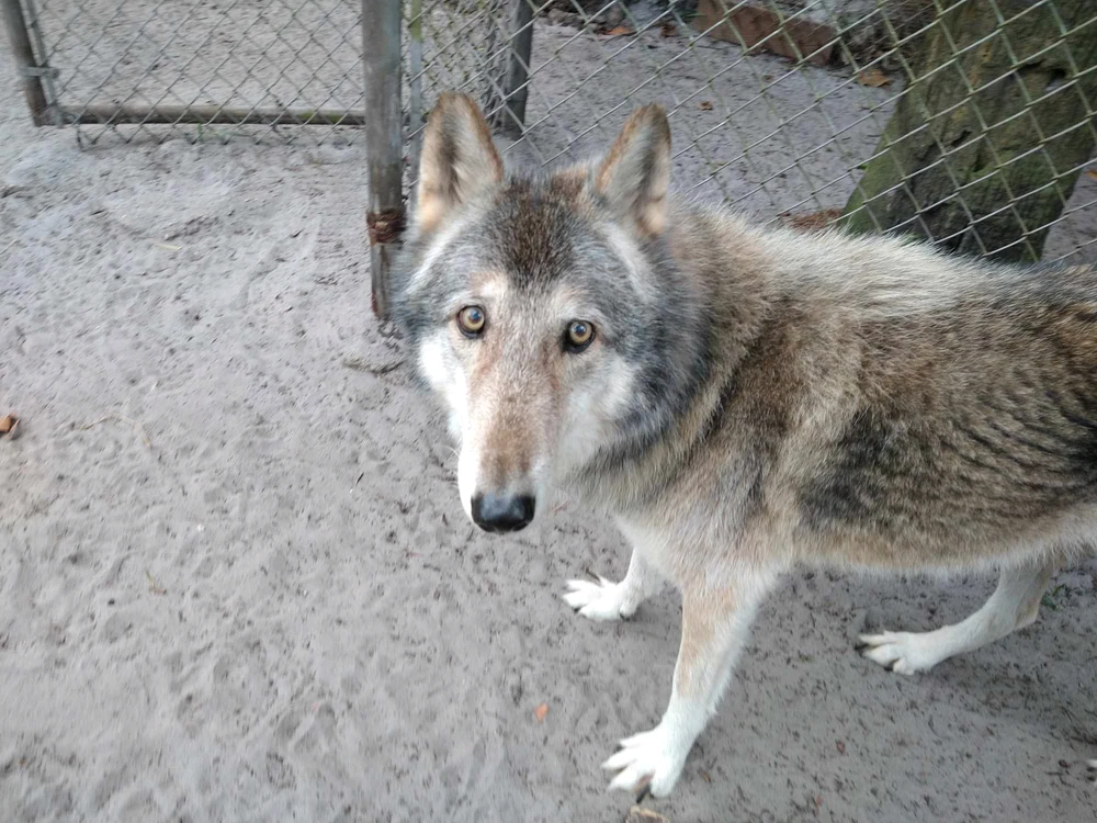 Image uploaded by Michelle