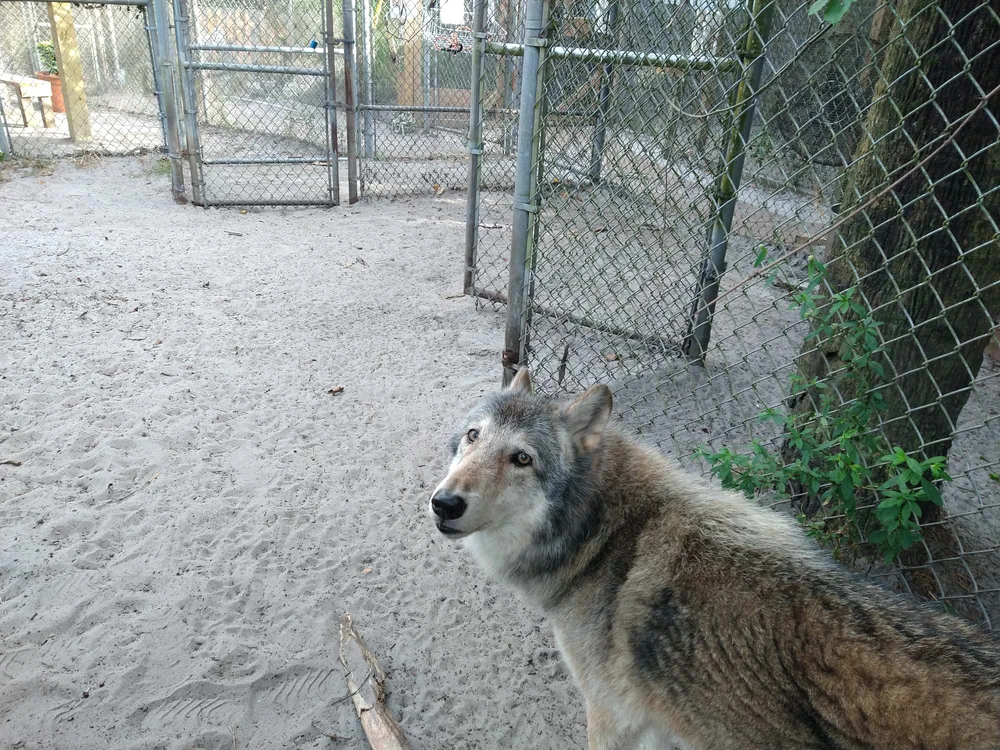 Image uploaded by Michelle