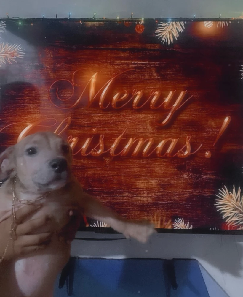 Image uploaded by Aye