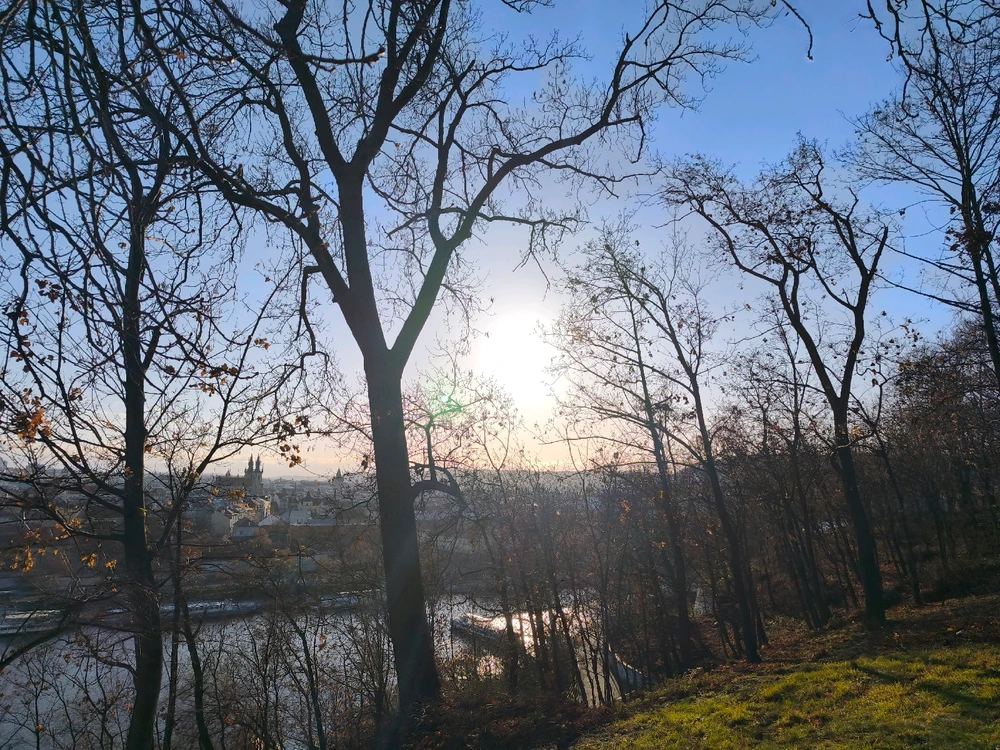 Obrázek nahrál 🧿