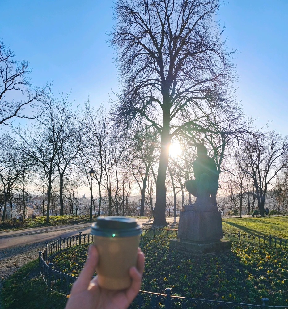 Obrázek nahrál 🧿