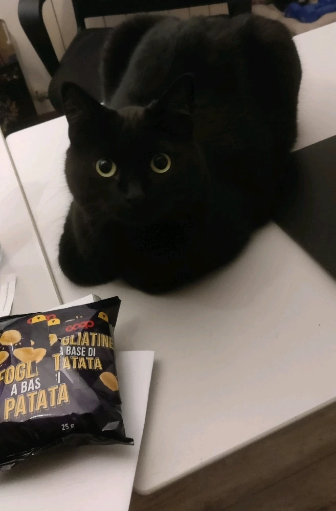 GIF caricata da Marco