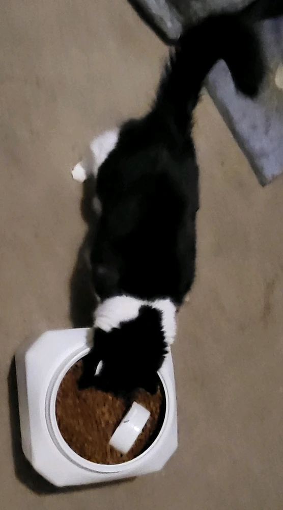 GIF uploaded by Dylan
