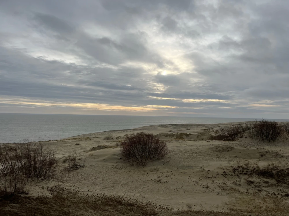 GIF uploaded by Creer