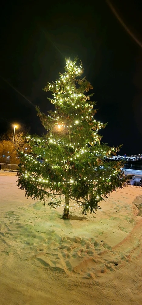 Image uploaded by Tor Helge