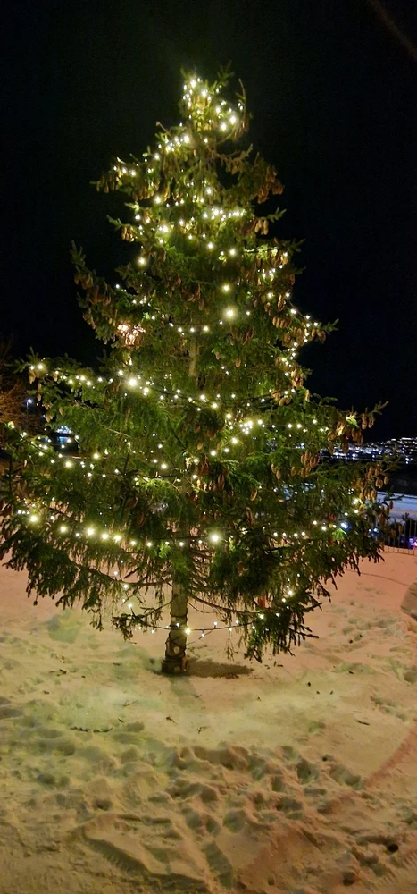 Image uploaded by Tor Helge