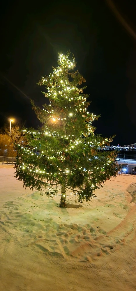 Image uploaded by Tor Helge