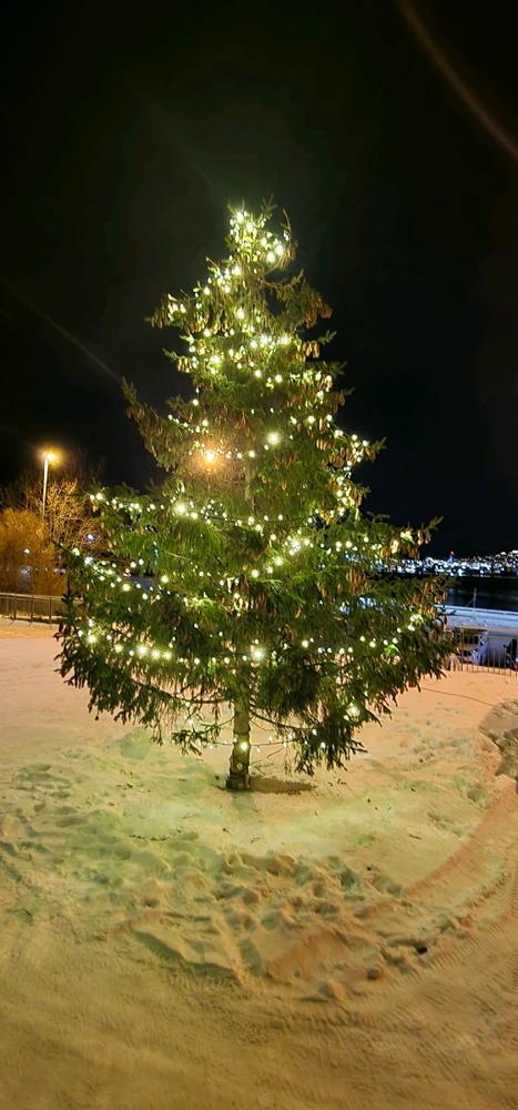 Image uploaded by Tor Helge