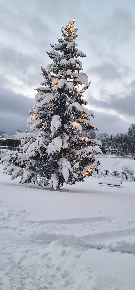 Image uploaded by Tor Helge