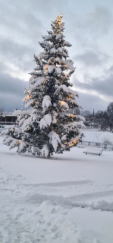 Image uploaded by Tor Helge