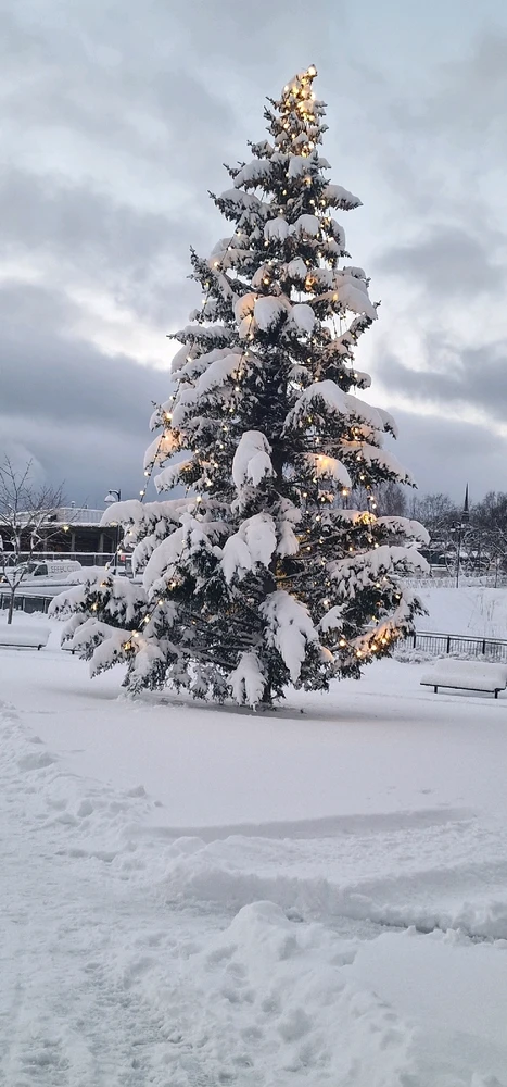 Image uploaded by Tor Helge