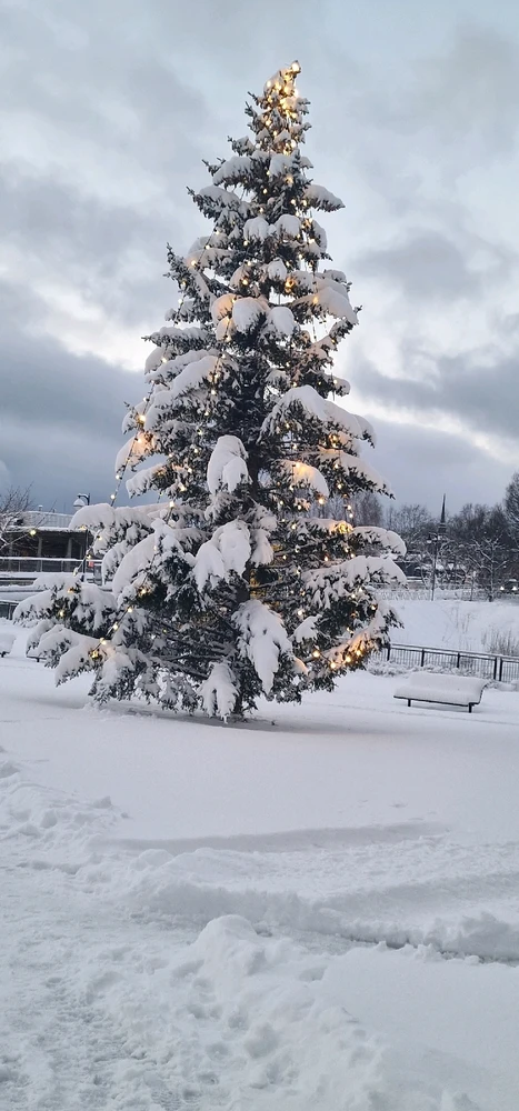 Image uploaded by Tor Helge