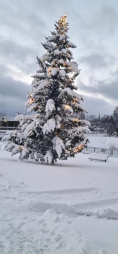 Image uploaded by Tor Helge