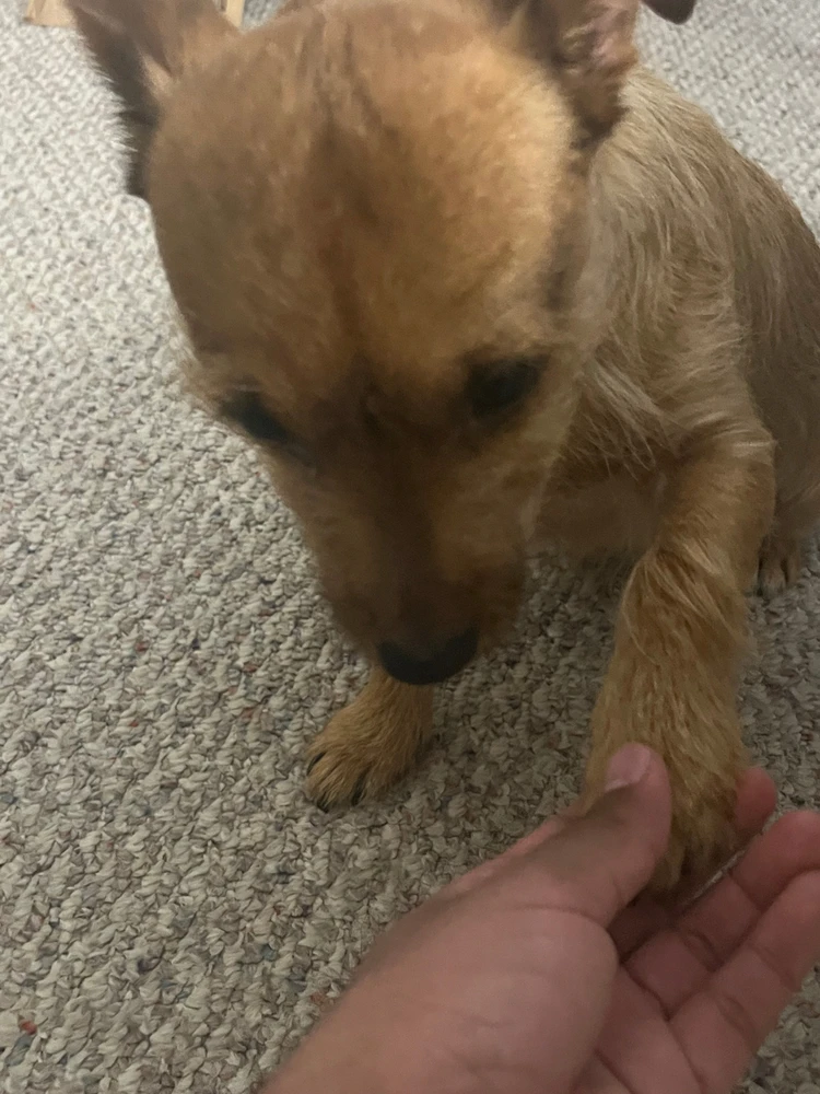 GIF uploaded by Albert