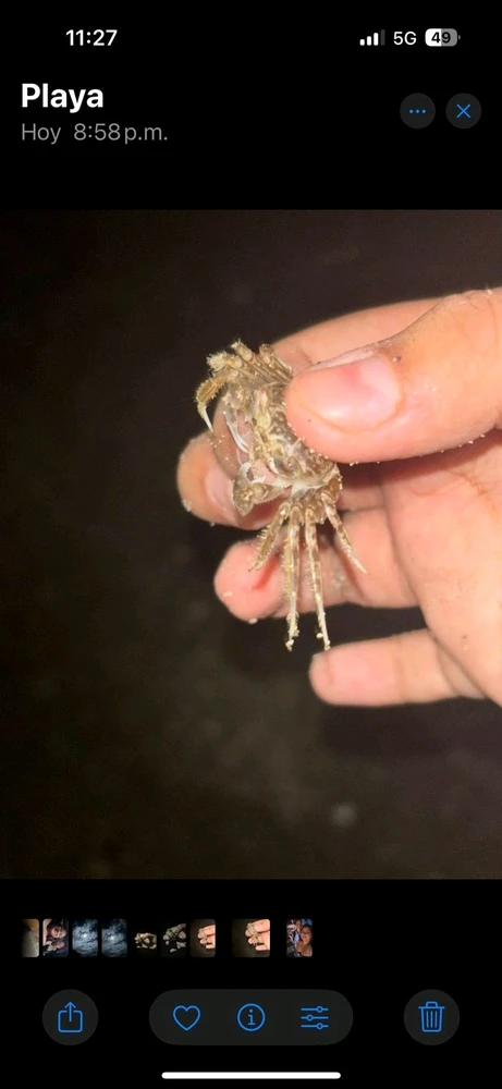 GIF uploaded by Alaxis