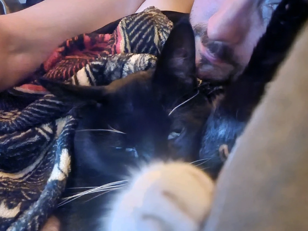 Image uploaded by Eric