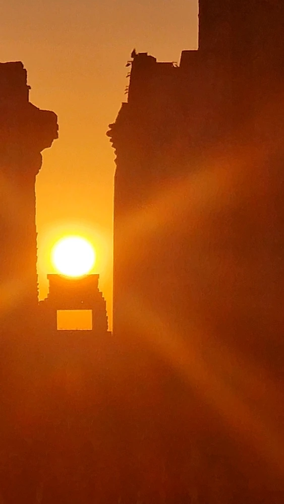 Image uploaded by Martin