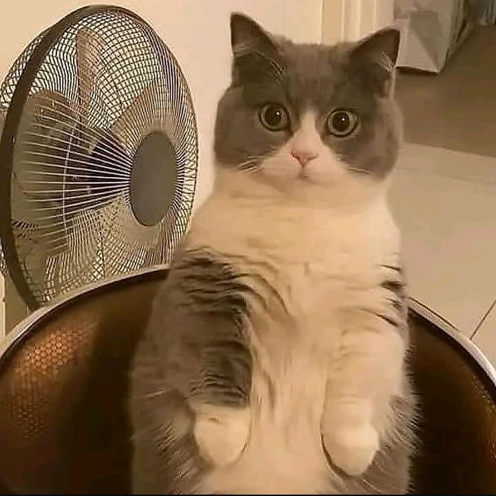 GIF subido por Cristal