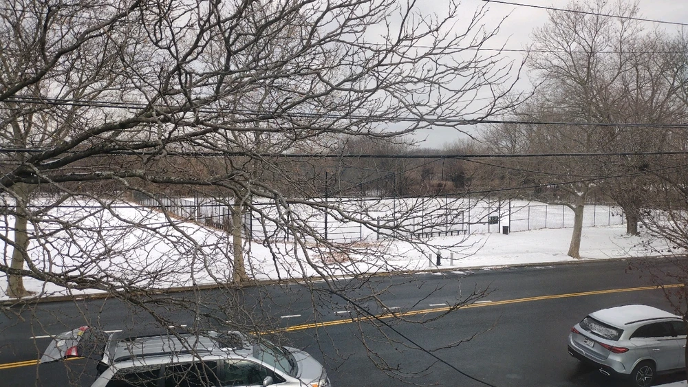 View of a park covered in snow through the dry and leafless branches. The street however is clear of snow.