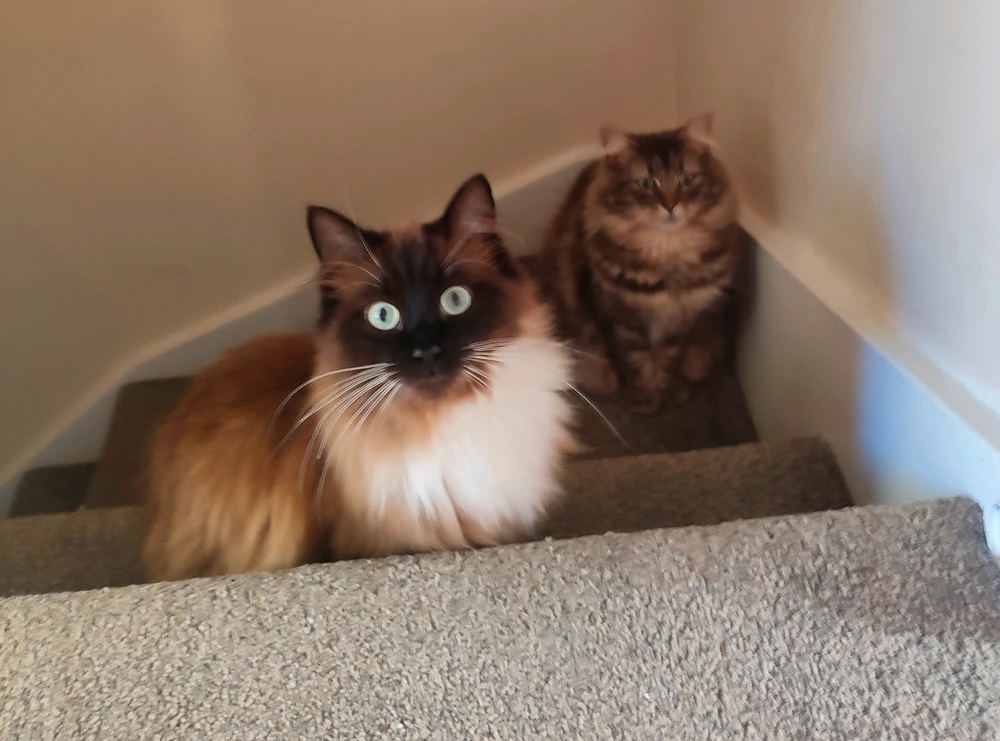 GIF uploaded by Andy(bearded ginger)
