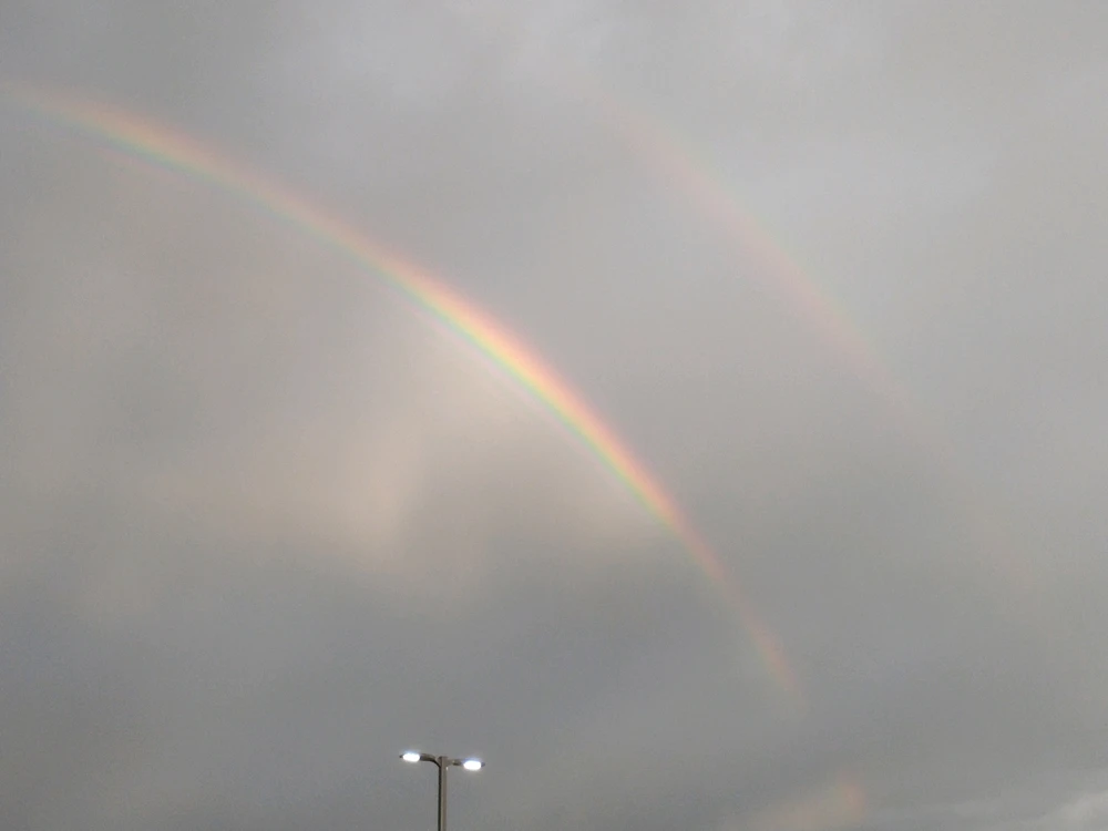 Image uploaded by Bex