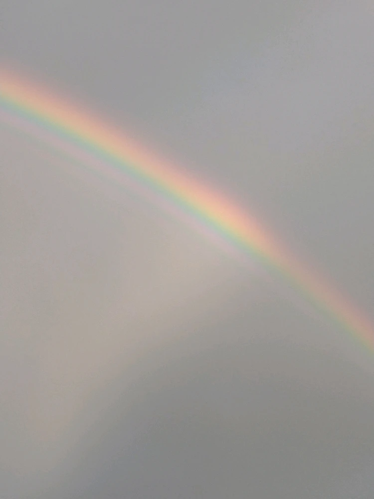 Image uploaded by Bex